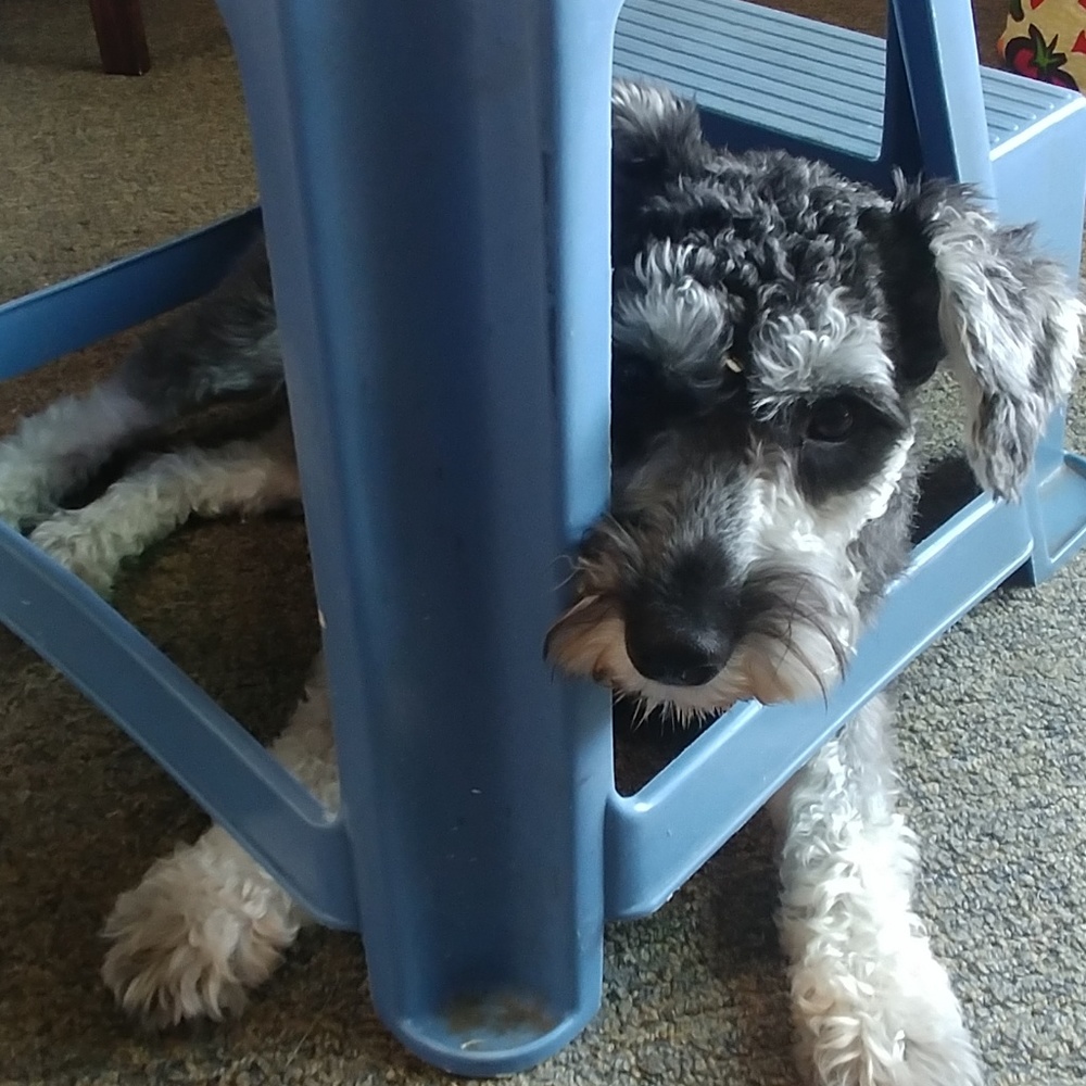 💖💖BUNDLE!💖💖